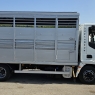 IVECO EUROCARGO 100E22 TRASPORTO ANIMALI VIVI-BESTIAME MT5.10 CON SPONDA CARICATRICE EURO5