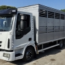 IVECO EUROCARGO 100E22 TRASPORTO ANIMALI VIVI-BESTIAME MT5.10 CON SPONDA CARICATRICE EURO5