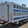 IVECO EUROCARGO 80E22 TRASPORTO ANIMALI VIVI-BESTIAME MT5.25 CON SPONDA CARICATRICE EURO5