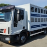 IVECO EUROCARGO 80E22 TRASPORTO ANIMALI VIVI-BESTIAME MT5.25 CON SPONDA CARICATRICE EURO5