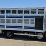 IVECO EUROCARGO 80E22 TRASPORTO ANIMALI VIVI-BESTIAME MT5.25 CON SPONDA CARICATRICE EURO5