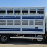 IVECO EUROCARGO 80E22 TRASPORTO ANIMALI VIVI-BESTIAME MT5.25 CON SPONDA CARICATRICE EURO5