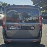 FIAT DOBLO’ AUTOVETTURA 7POSTI 2.0MJT 135CV EURO5B