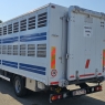 IVECO EUROCARGO 80E22 TRASPORTO ANIMALI VIVI-BESTIAME MT5.25 CON SPONDA CARICATRICE EURO5