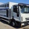 IVECO EUROCARGO 80E22 TRASPORTO ANIMALI VIVI-BESTIAME MT5.25 CON SPONDA CARICATRICE EURO5